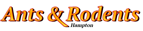 Hampton Ant Exterminator & Rodent Control Company Logo